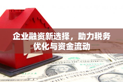 越西企业融资新选择，助力税务优化与资金流动