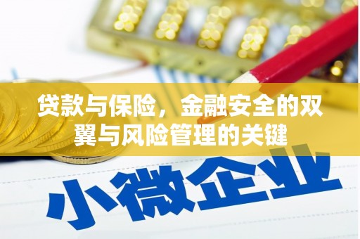 越西贷款与保险，金融安全的双翼与风险管理的关键