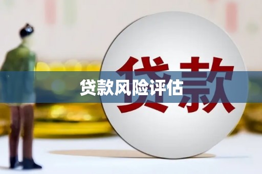 越西贷款风险评估