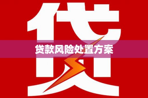 越西贷款风险处置方案