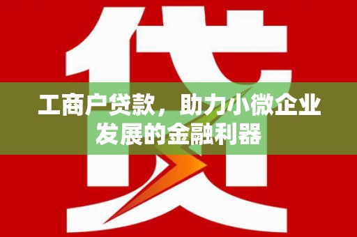 越西工商户贷款，助力小微企业发展的金融利器