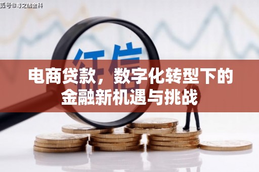 越西电商贷款，数字化转型下的金融新机遇与挑战