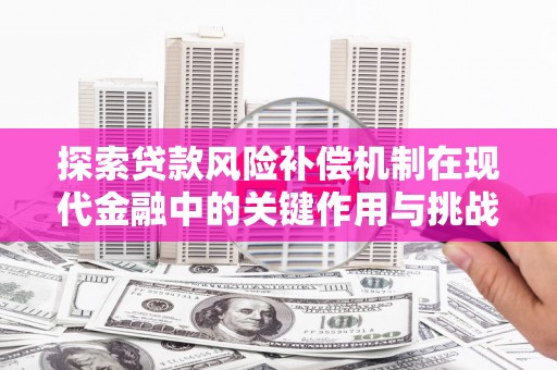 越西探索贷款风险补偿机制在现代金融中的关键作用与挑战