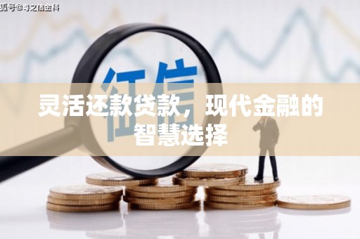 越西灵活还款贷款，现代金融的智慧选择