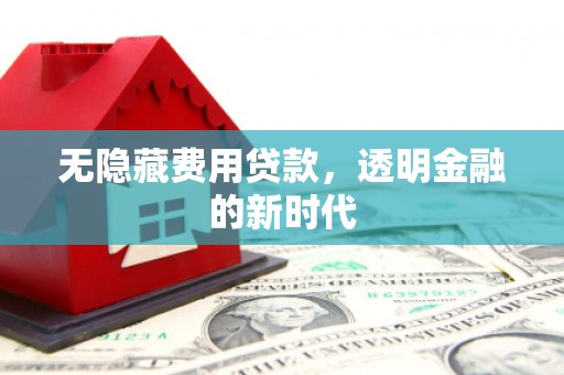 越西无隐藏费用贷款，透明金融的新时代