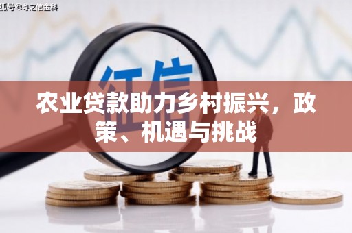 越西农业贷款助力乡村振兴，政策、机遇与挑战