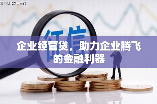 越西企业经营贷，助力企业腾飞的金融利器