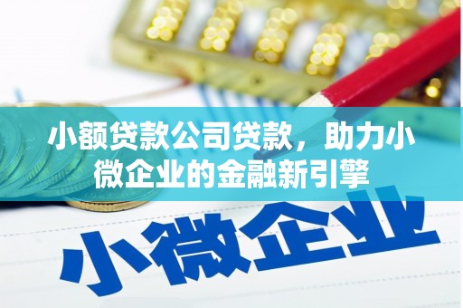越西小额贷款公司贷款，助力小微企业的金融新引擎