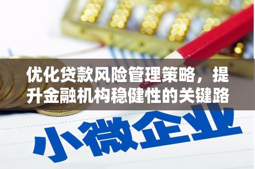 越西优化贷款风险管理策略，提升金融机构稳健性的关键路径