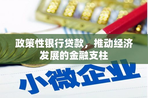 越西政策性银行贷款，推动经济发展的金融支柱