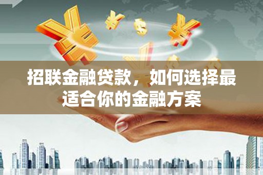 越西招联金融贷款，如何选择最适合你的金融方案