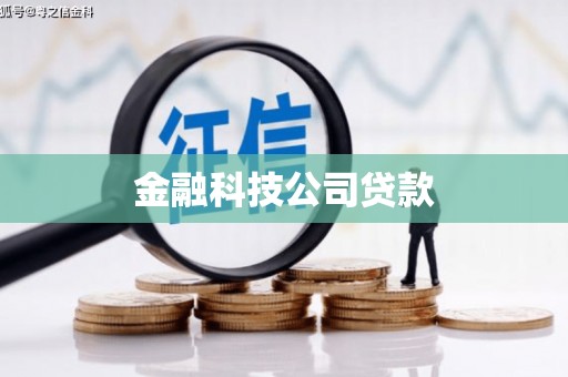 越西金融科技公司贷款
