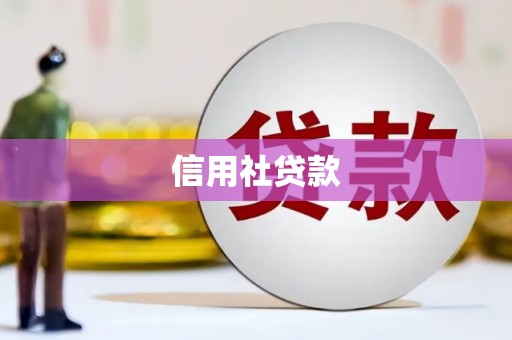 越西信用社贷款