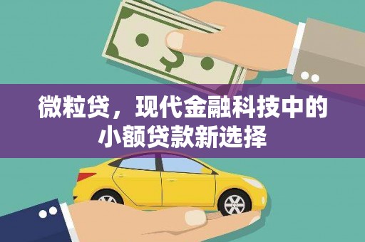 越西微粒贷，现代金融科技中的小额贷款新选择