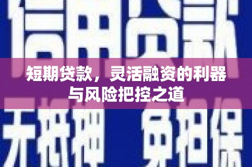 越西短期贷款，灵活融资的利器与风险把控之道