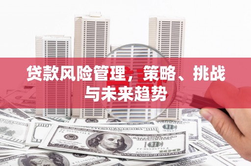 越西贷款风险管理，策略、挑战与未来趋势