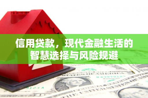 越西信用贷款，现代金融生活的智慧选择与风险规避