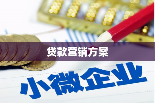 越西贷款营销方案