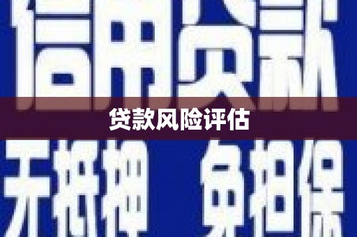 越西贷款风险评估