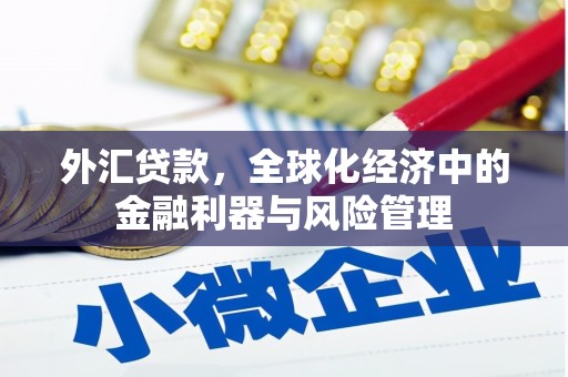越西外汇贷款，全球化经济中的金融利器与风险管理