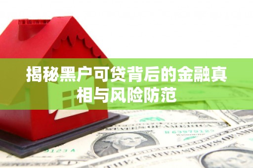 越西揭秘黑户可贷背后的金融真相与风险防范