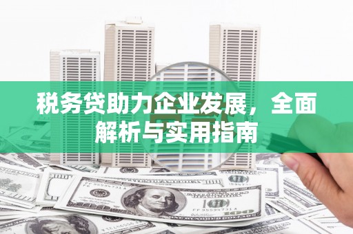 越西税务贷助力企业发展，全面解析与实用指南