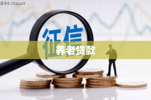 越西养老贷款
