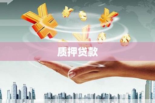 越西质押贷款
