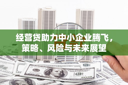 越西经营贷助力中小企业腾飞，策略、风险与未来展望