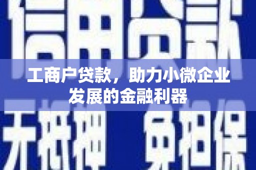 越西工商户贷款，助力小微企业发展的金融利器