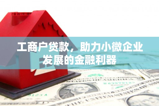 越西工商户贷款，助力小微企业发展的金融利器