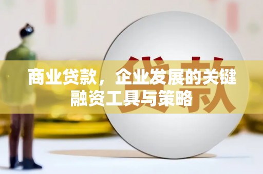 越西商业贷款，企业发展的关键融资工具与策略