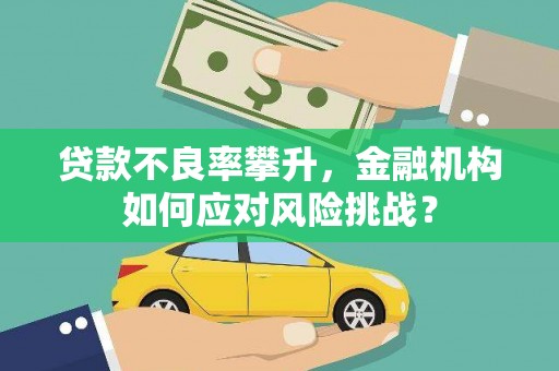 越西贷款不良率攀升，金融机构如何应对风险挑战？
