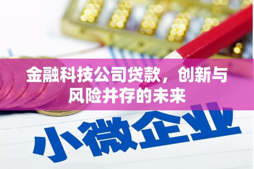 越西金融科技公司贷款，创新与风险并存的未来