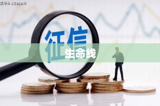 越西生命线