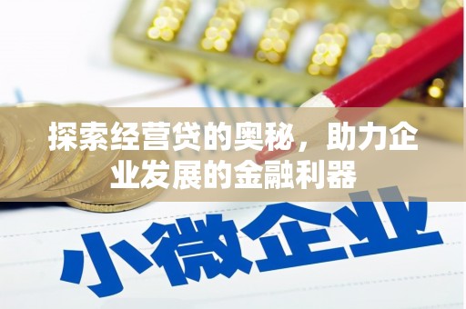 越西探索经营贷的奥秘，助力企业发展的金融利器