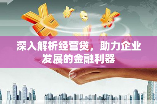 越西深入解析经营贷，助力企业发展的金融利器