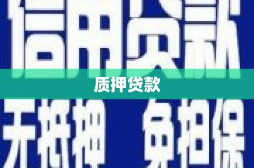 越西质押贷款