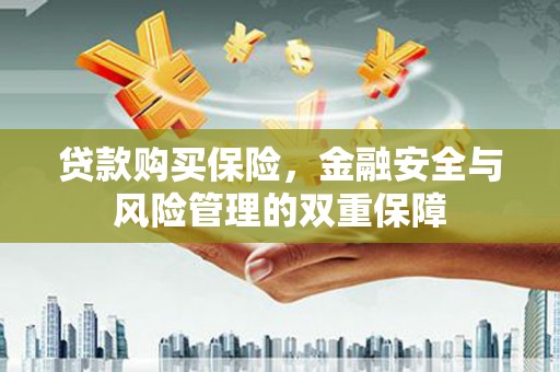 越西贷款购买保险，金融安全与风险管理的双重保障
