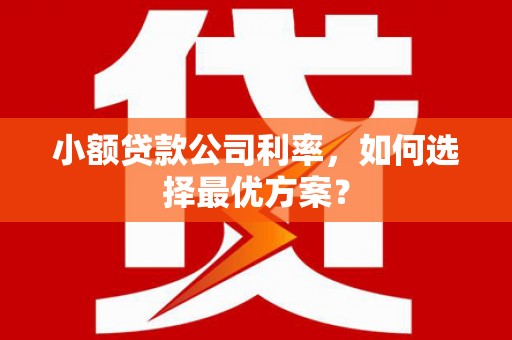 越西小额贷款公司利率，如何选择最优方案？