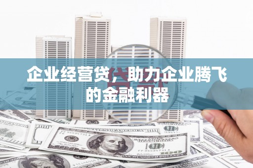 越西企业经营贷，助力企业腾飞的金融利器