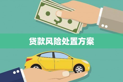 越西贷款风险处置方案