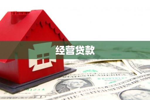 越西经营贷款