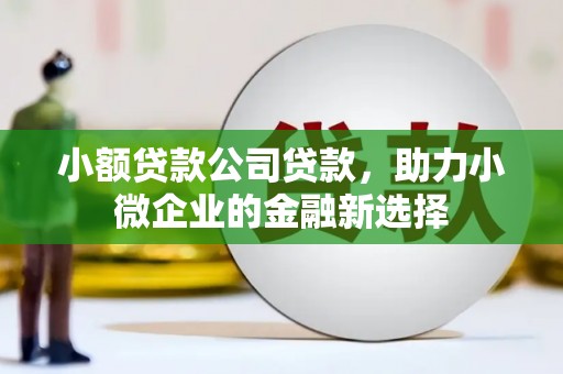 越西小额贷款公司贷款，助力小微企业的金融新选择