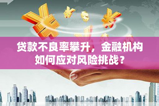 越西贷款不良率攀升，金融机构如何应对风险挑战？