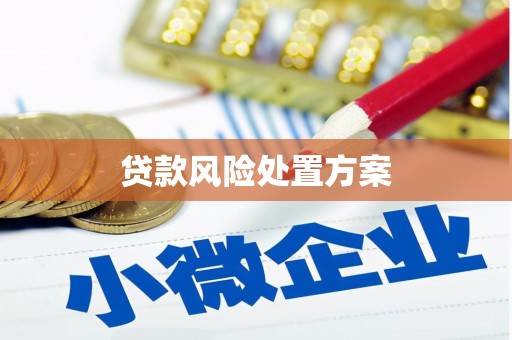 越西贷款风险处置方案