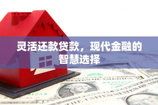 越西灵活还款贷款，现代金融的智慧选择