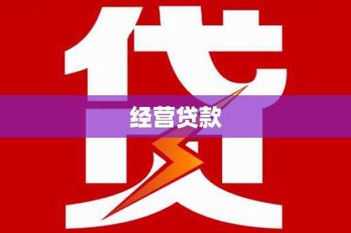 越西经营贷款