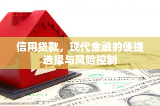 越西信用贷款，现代金融的便捷选择与风险控制