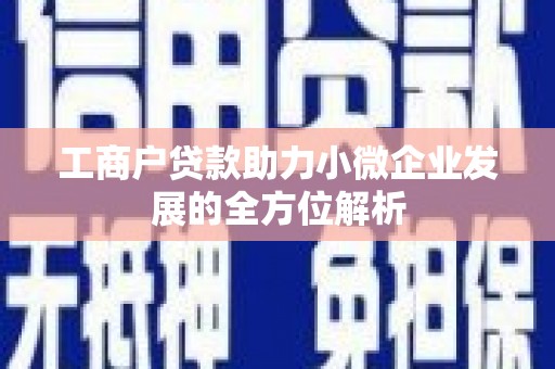 越西工商户贷款助力小微企业发展的全方位解析